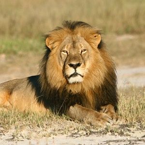 Meet your Posher, Margo